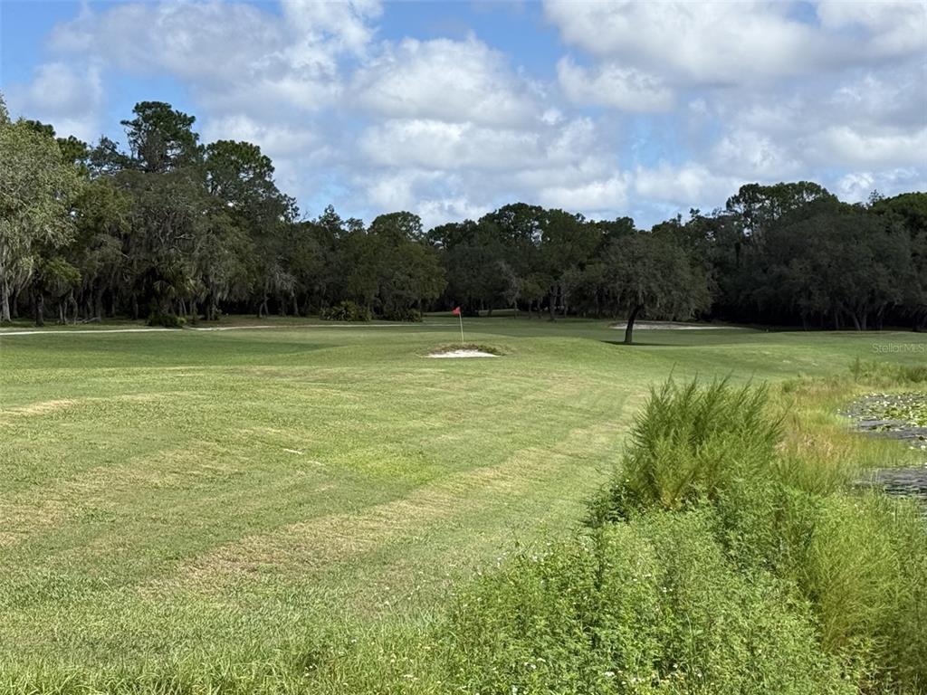 7401 Galloway Road Weeki Wachee, FL 34613 - Photo 56 of 60 Gallery Image 56
