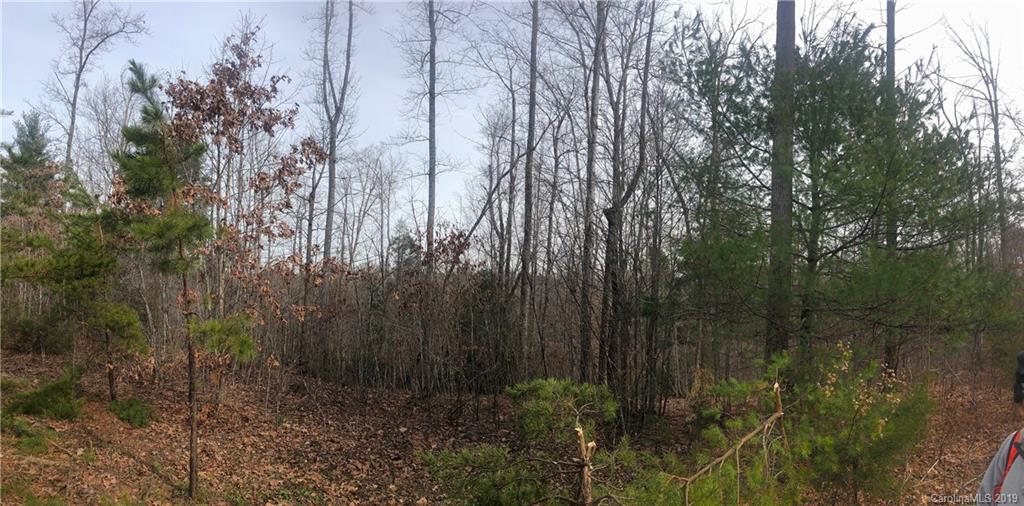 0 Memorial Park Road Marion, NC 28752 - Photo 2 of 15 Gallery Image 2
