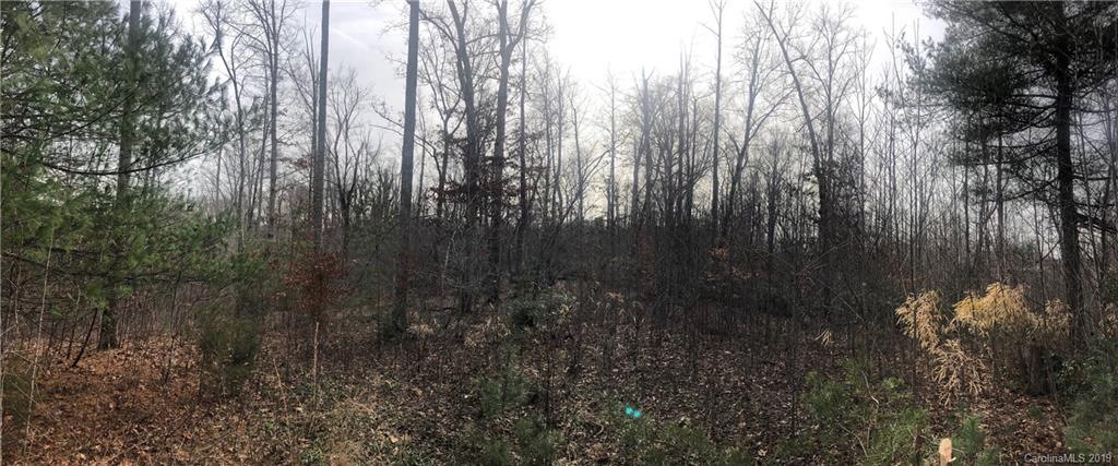 0 Memorial Park Road Marion, NC 28752 - Photo 11 of 15 Gallery Image 11