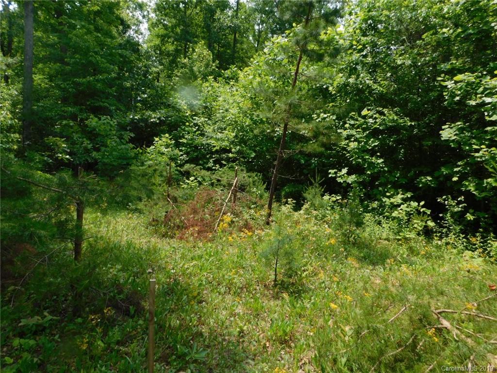 0 Memorial Park Road Marion, NC 28752 - Photo 3 of 15 Gallery Image 3