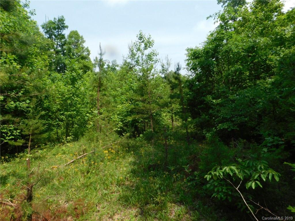 0 Memorial Park Road Marion, NC 28752 - Photo 4 of 15 Gallery Image 4