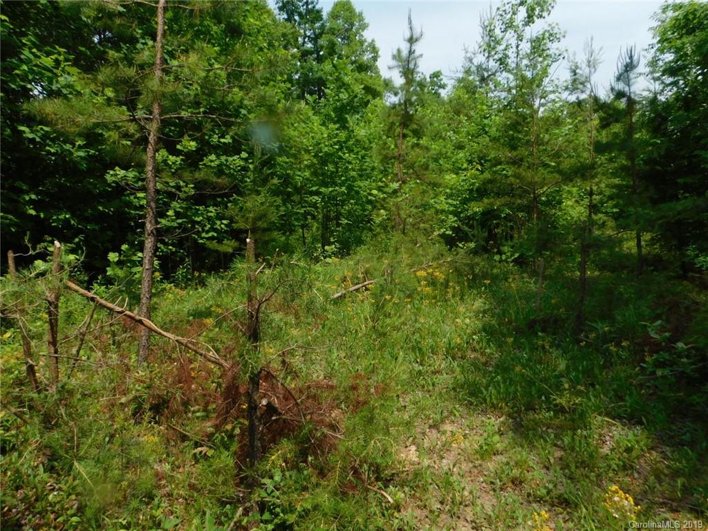 0 Memorial Park Road Marion, NC 28752 - Photo 5 of 15 Gallery Image 5