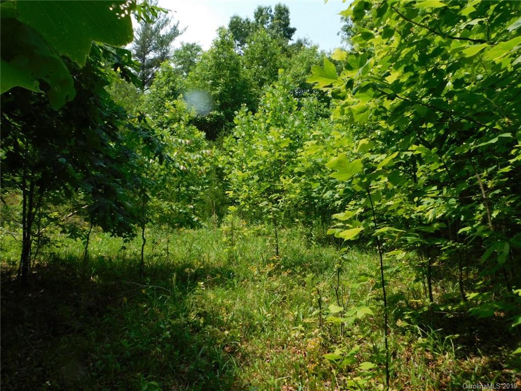 0 Memorial Park Road Marion, NC 28752 - Photo 6 of 15 Gallery Image 6
