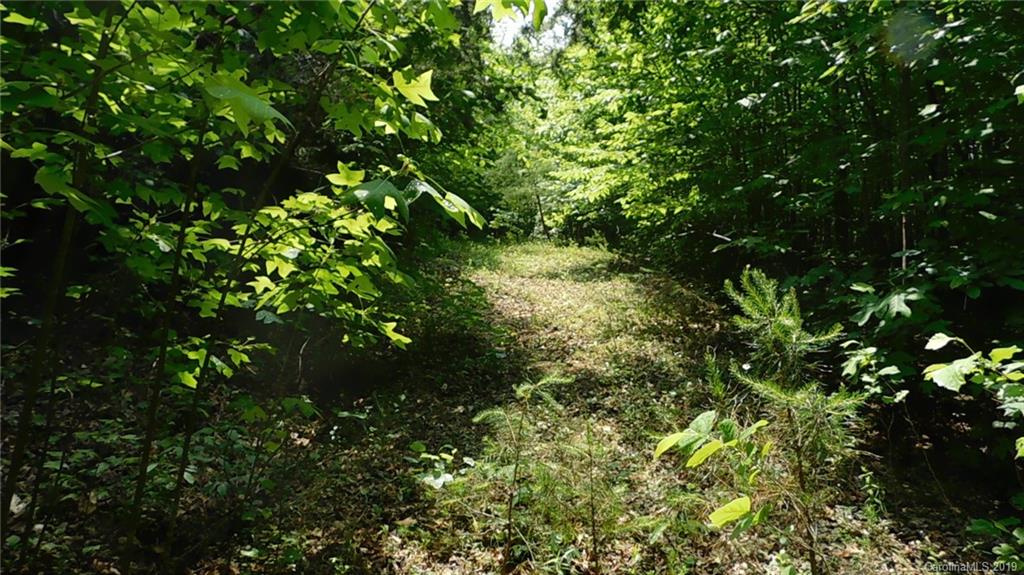 0 Memorial Park Road Marion, NC 28752 - Photo 9 of 15 Gallery Image 9