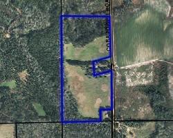 0 C Cora Powell Road Samson, AL 36477 - Photo 1 of 5