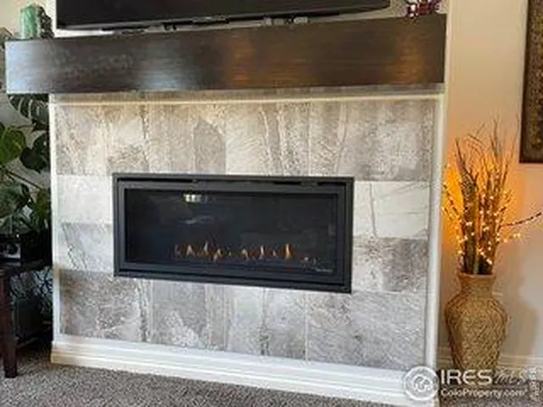 a fireplace with glass door