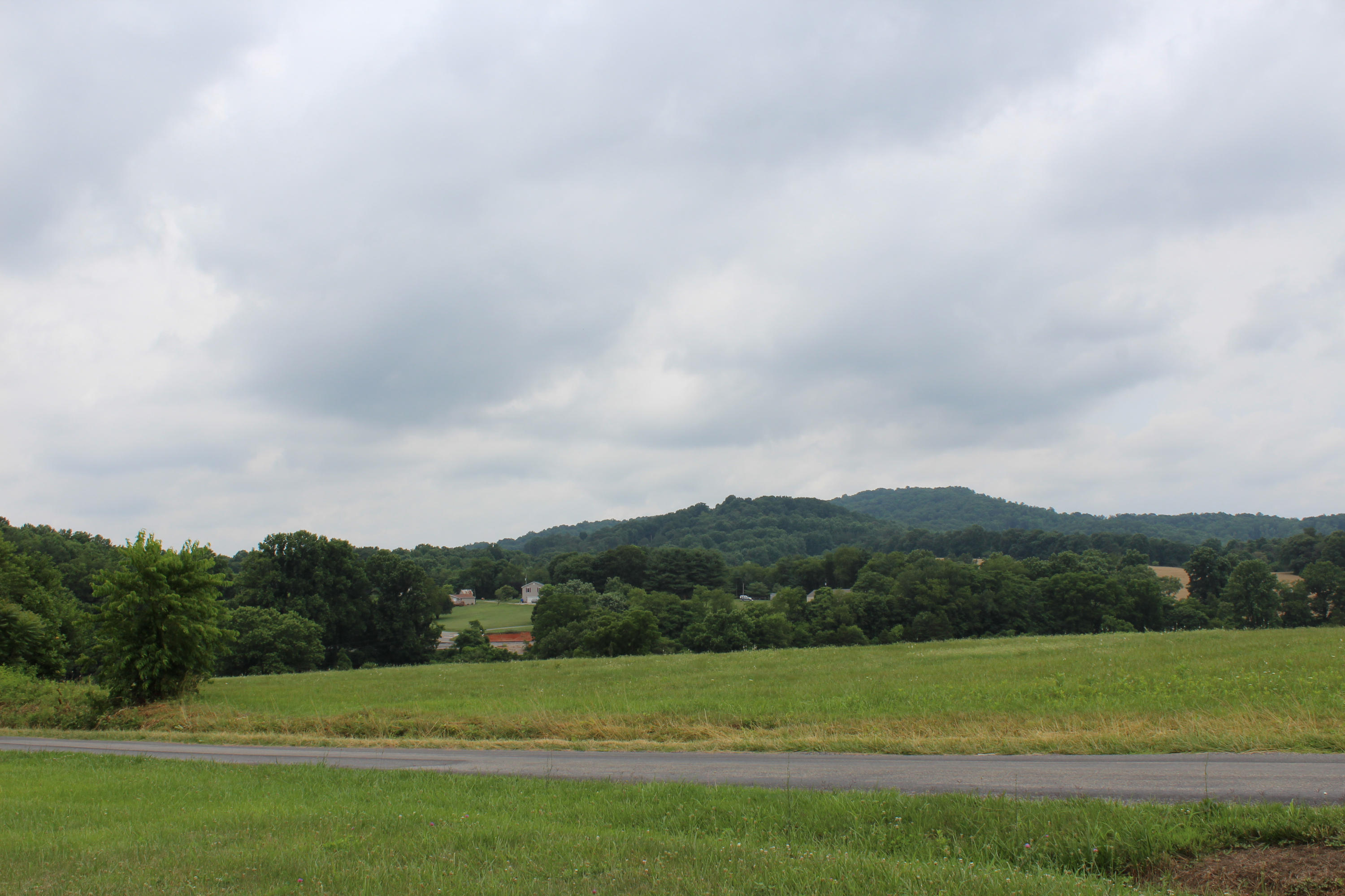 200 Kent Road Wirtz, VA 24184 - Photo 30 of 30 a view of field with tall trees