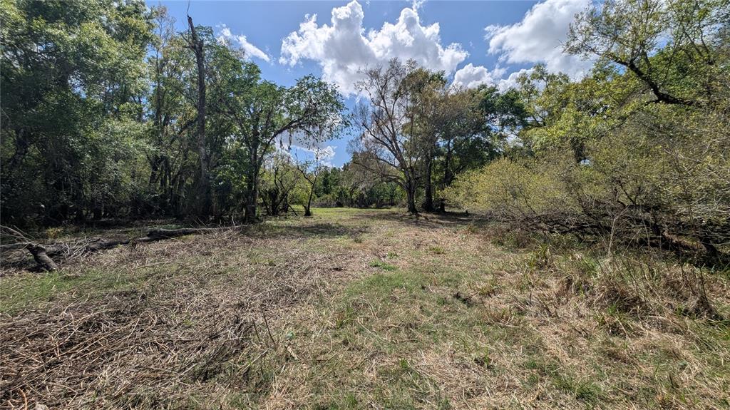 Gillette Road Zolfo Springs, FL 33890 - Photo 13 of 86 Gallery Image 13