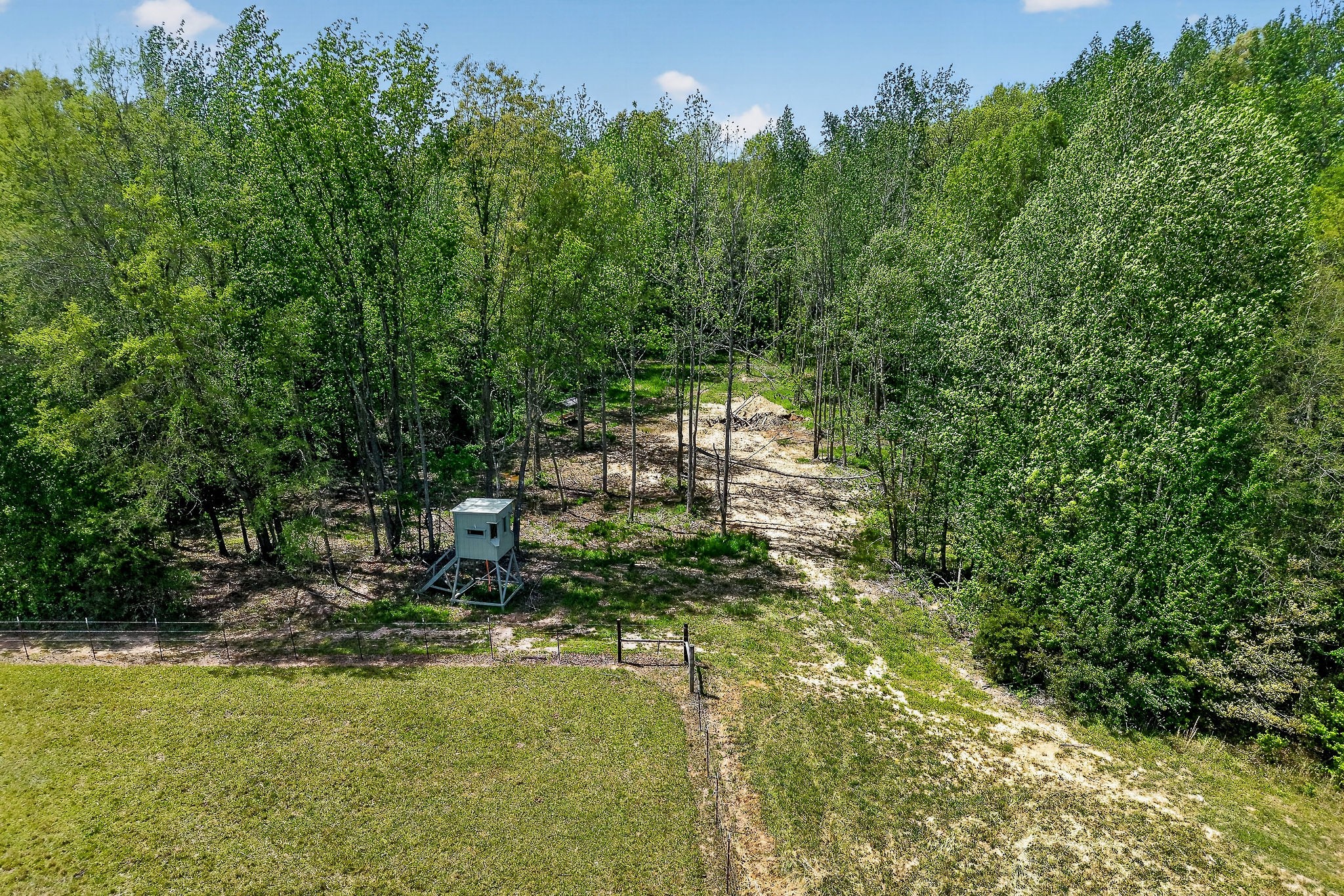 1378 Wheeler Road McMinnville, TN 37110 - Photo 11 of 44