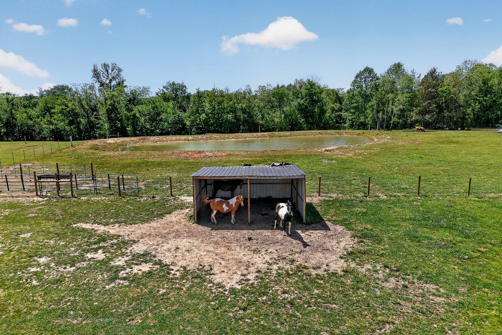 1378 Wheeler Road McMinnville, TN 37110 - Photo 15 of 44