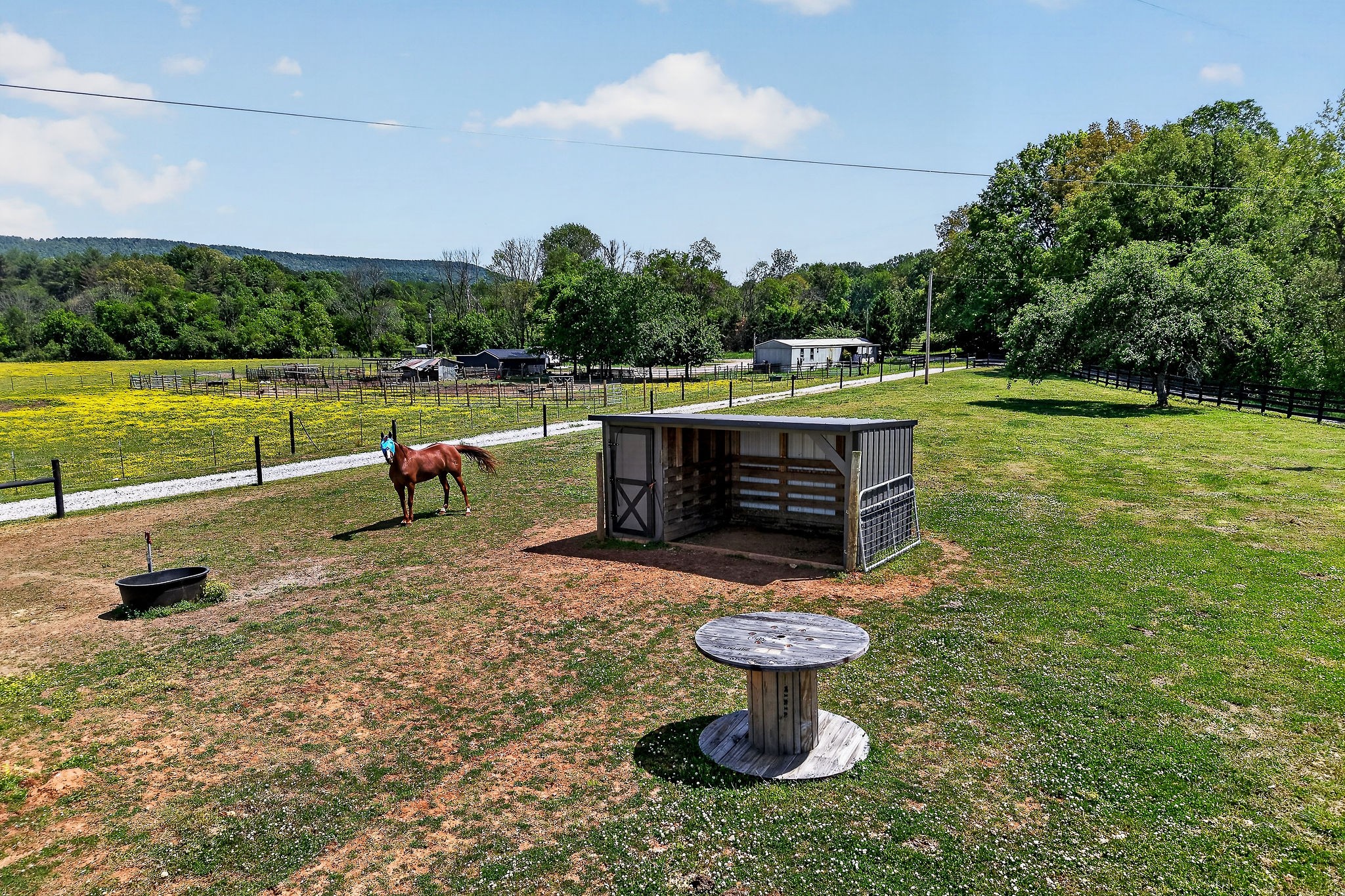 1378 Wheeler Road McMinnville, TN 37110 - Photo 26 of 44