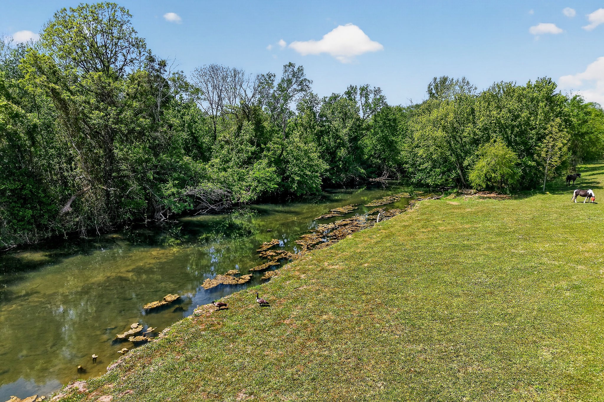 1378 Wheeler Road McMinnville, TN 37110 - Photo 28 of 44