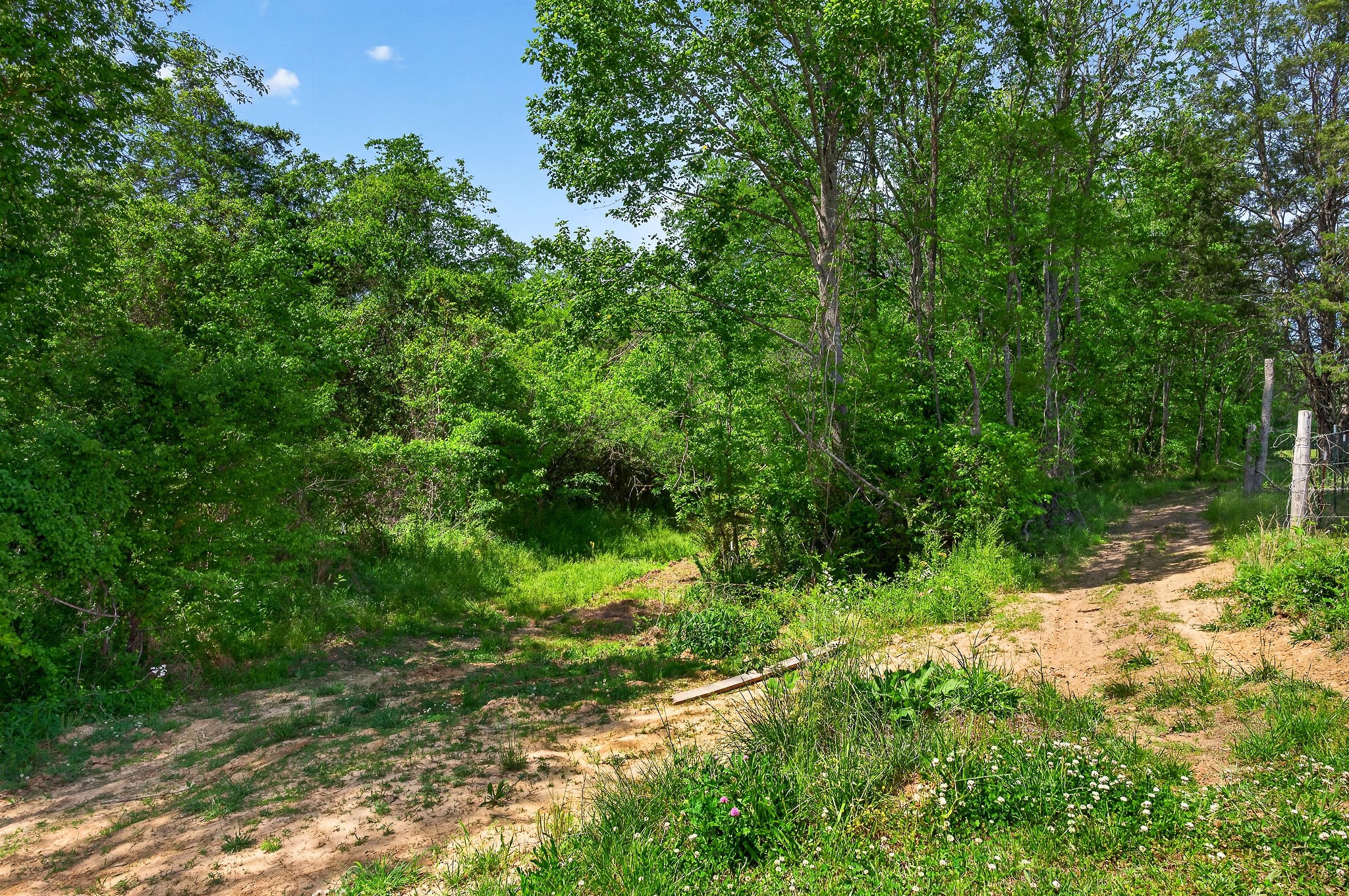 1378 Wheeler Road McMinnville, TN 37110 - Photo 39 of 44