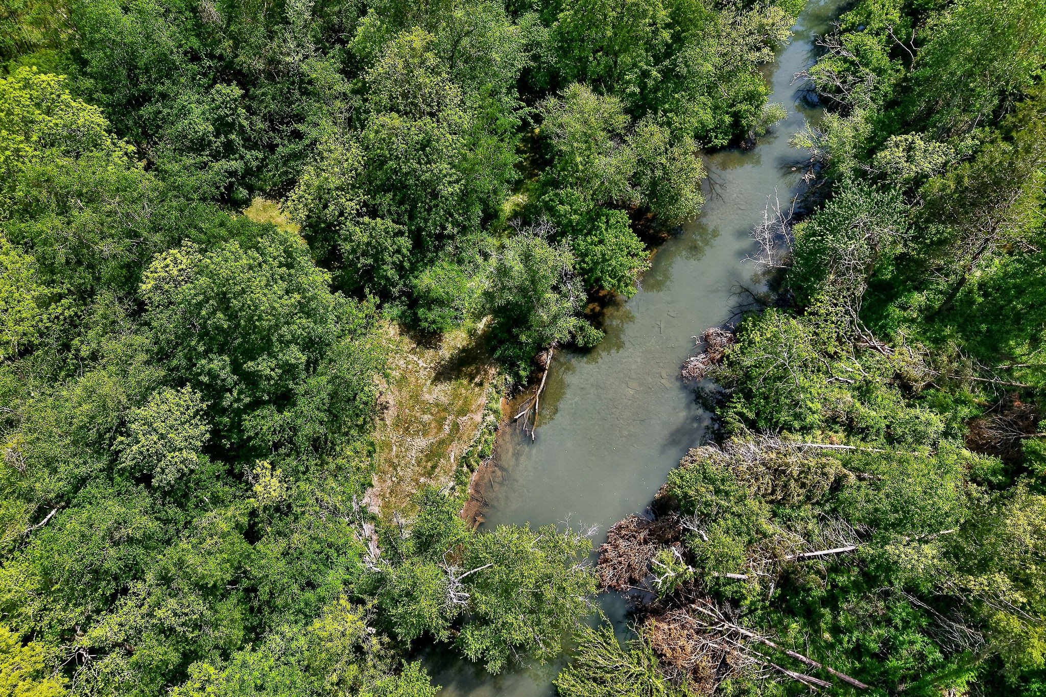 1378 Wheeler Road McMinnville, TN 37110 - Photo 9 of 44