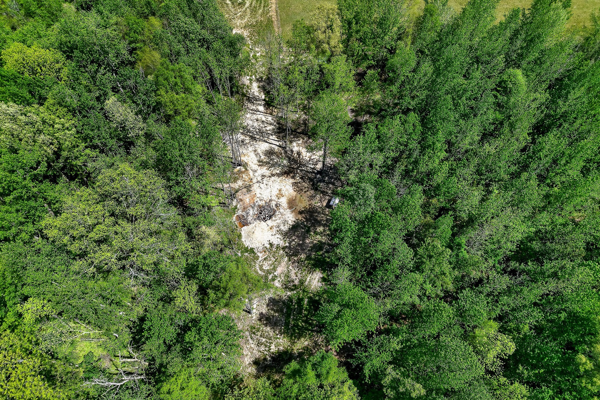 1378 Wheeler Road McMinnville, TN 37110 - Photo 10 of 44