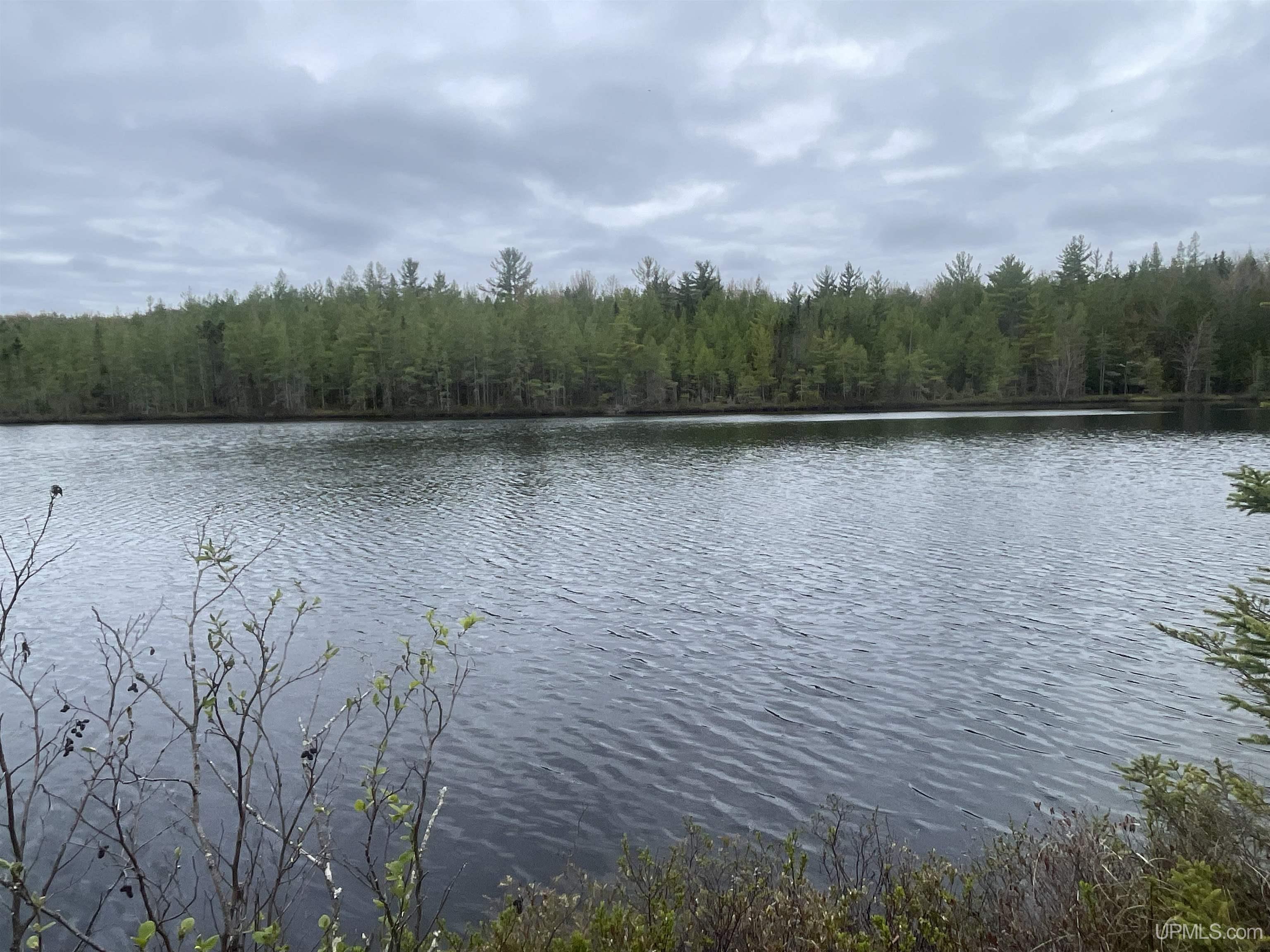 12148 33 Road Wetmore, MI 49895 - Photo 3 of 7