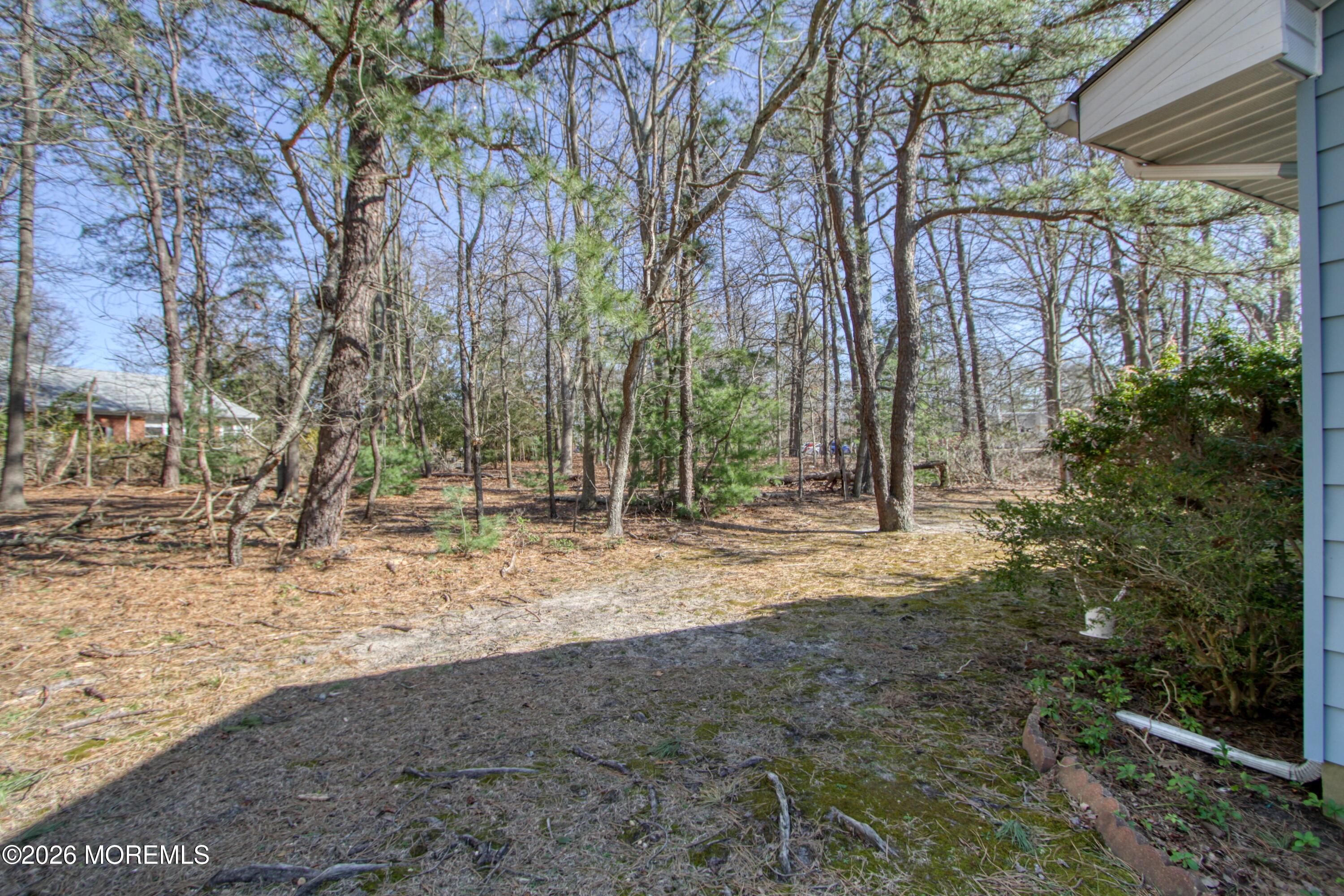 5 Wayne Court Whiting, NJ 08759 - Photo 20 of 23 Back Yard
