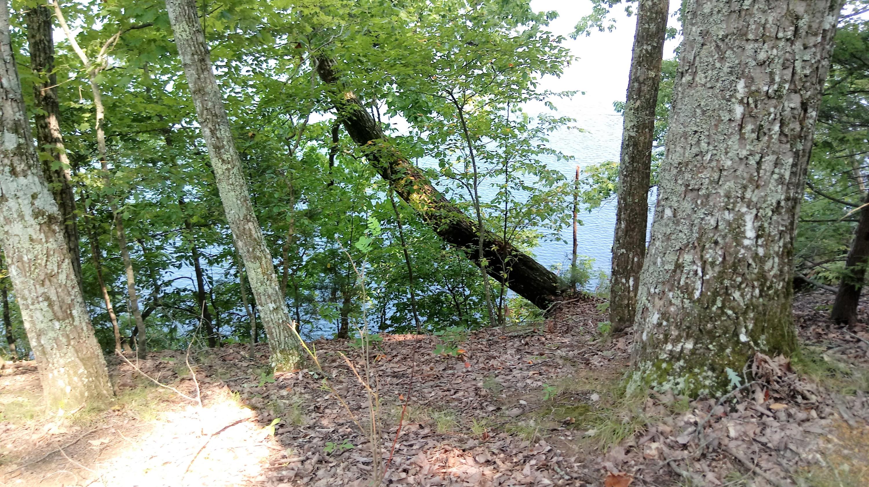 Lot 27 Woods Ridge Road Dandridge, TN 37725 - Photo 14 of 17 0821181524e
