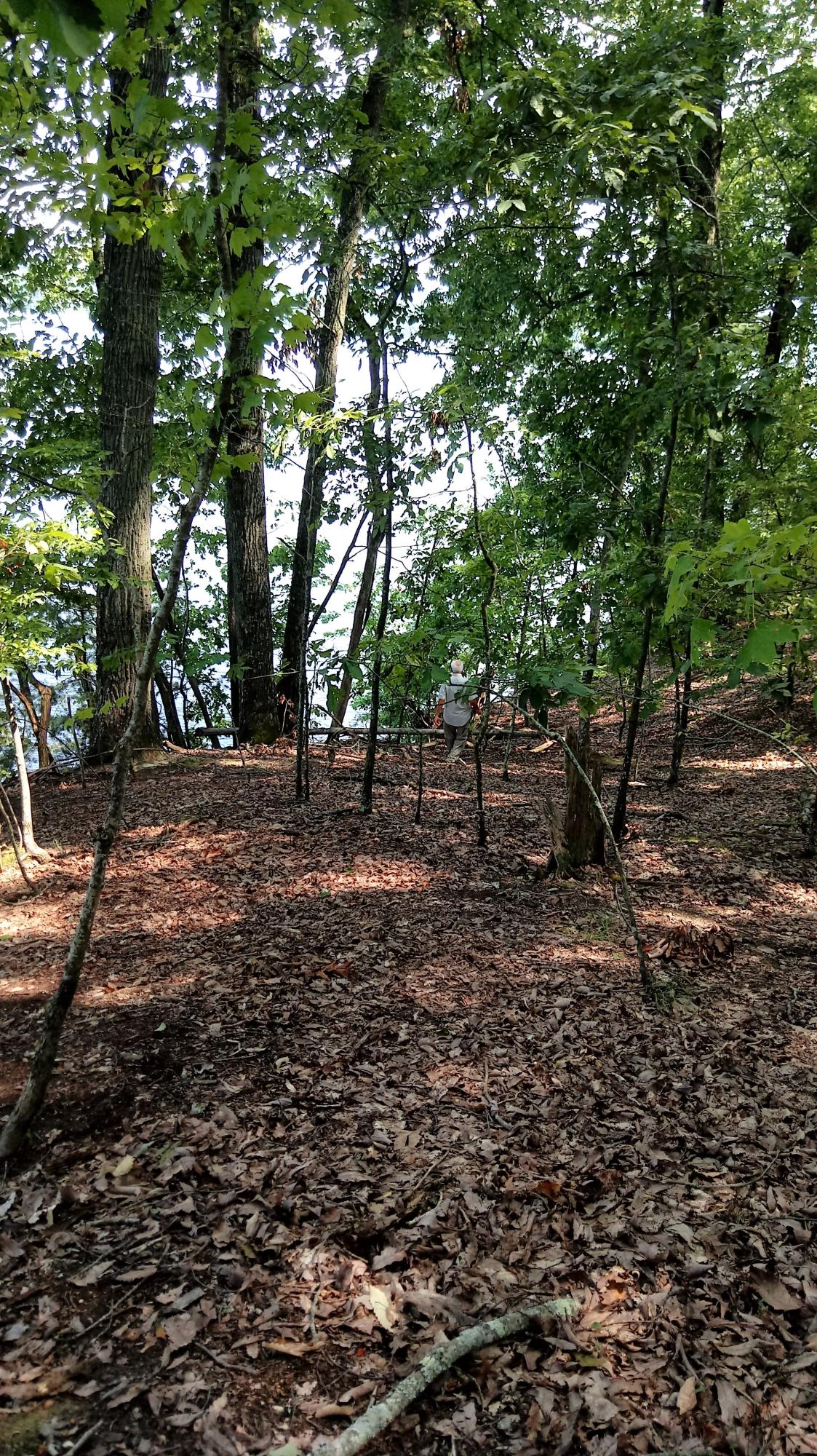 Lot 27 Woods Ridge Road Dandridge, TN 37725 - Photo 15 of 17 0821181525 (7)