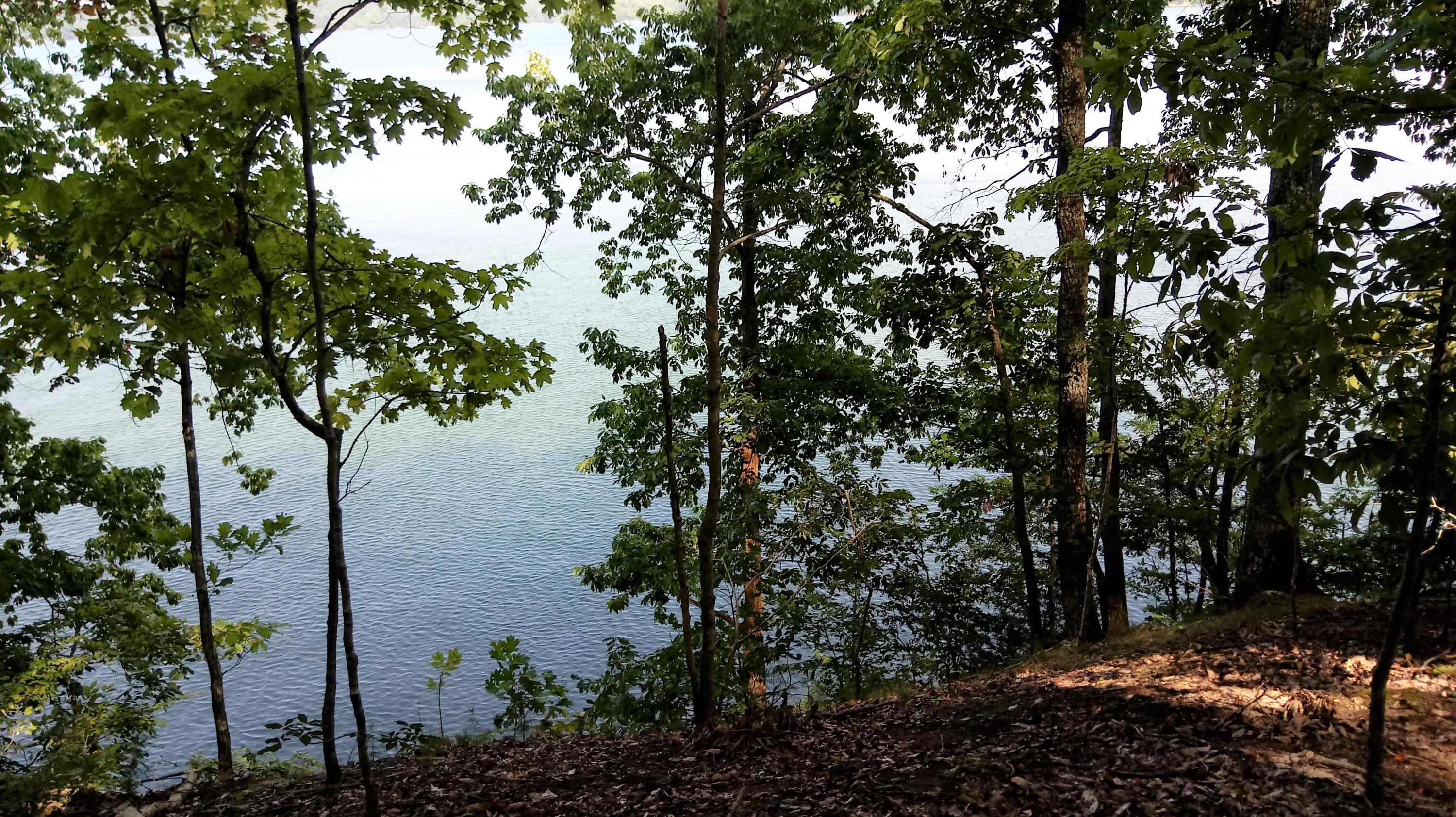 Lot 27 Woods Ridge Road Dandridge, TN 37725 - Photo 16 of 17 0821181526 (1)