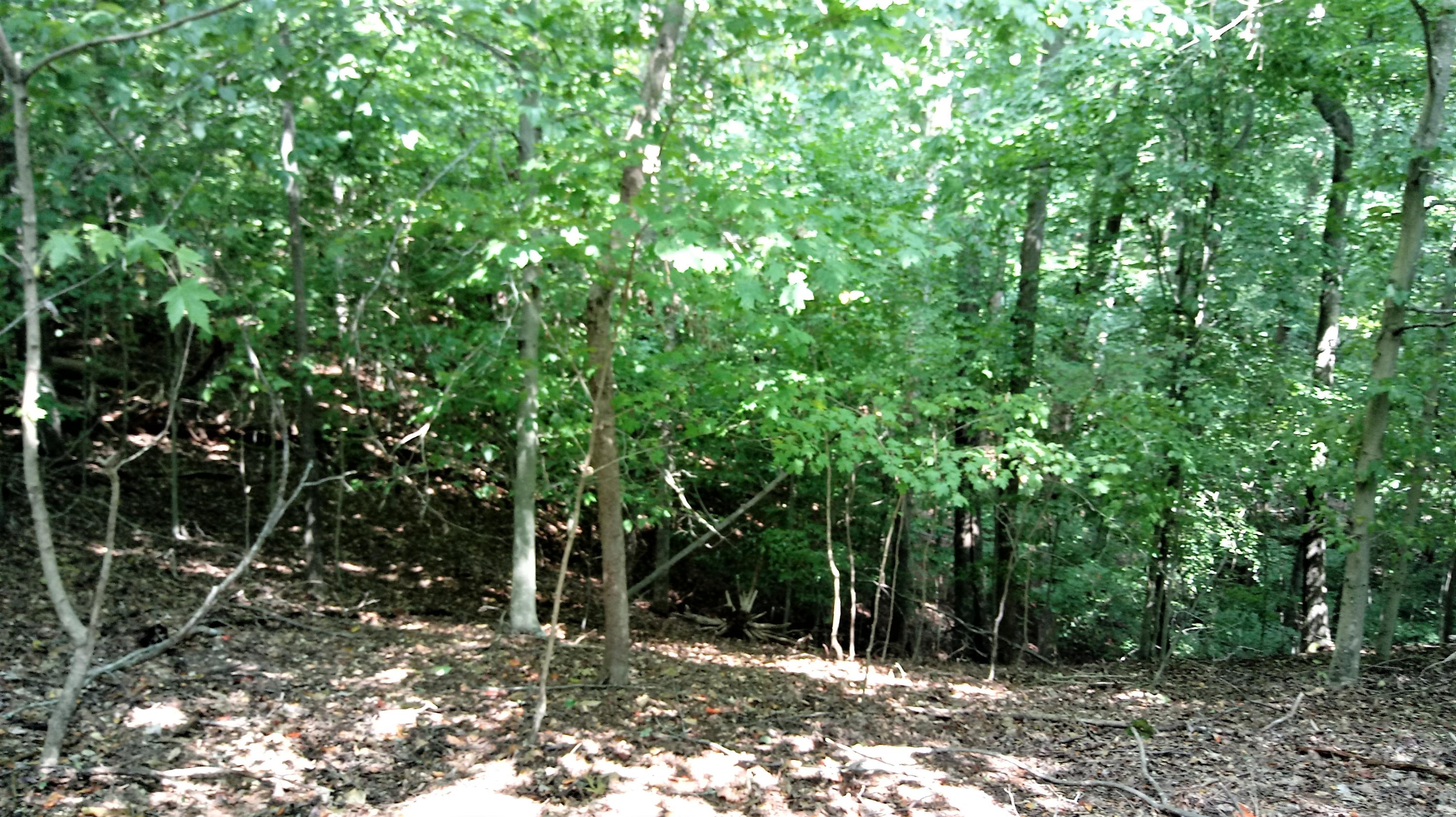 Lot 27 Woods Ridge Road Dandridge, TN 37725 - Photo 3 of 17 0821181511 (1)