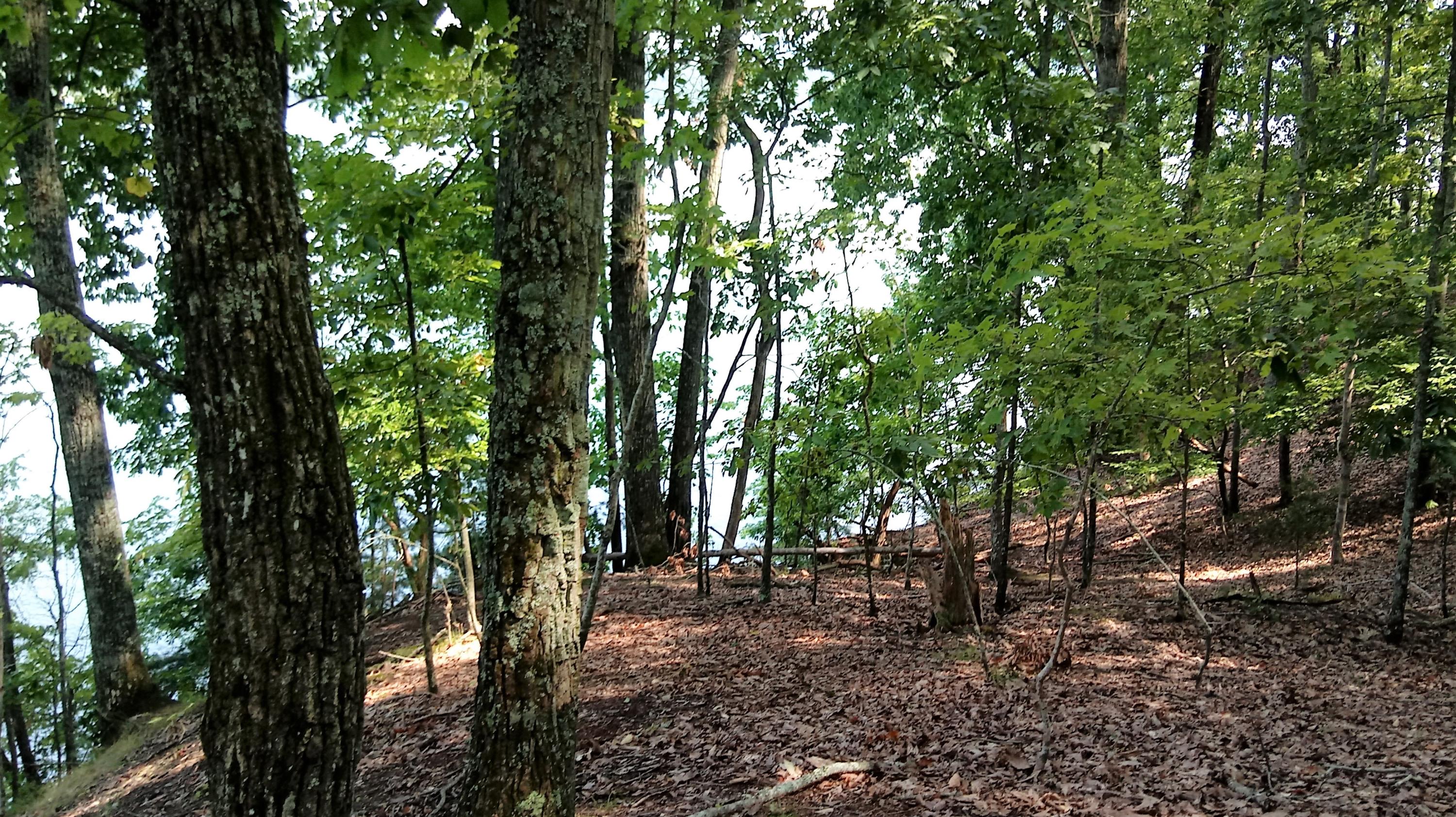 Lot 27 Woods Ridge Road Dandridge, TN 37725 - Photo 9 of 17 0821181523a