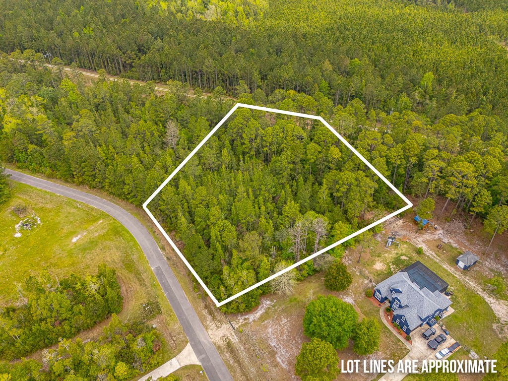 Lot 19 Serenity Farms Road Woodbine, GA 31569 - Photo 1 of 17
