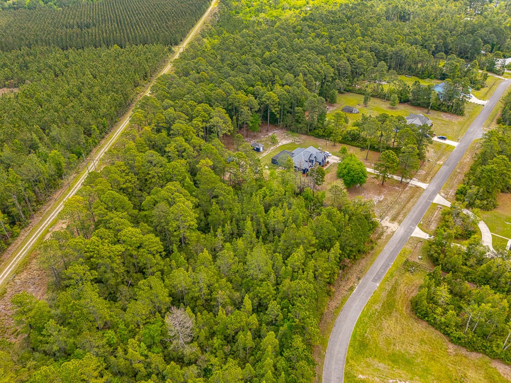 Lot 19 Serenity Farms Road Woodbine, GA 31569 - Photo 11 of 17