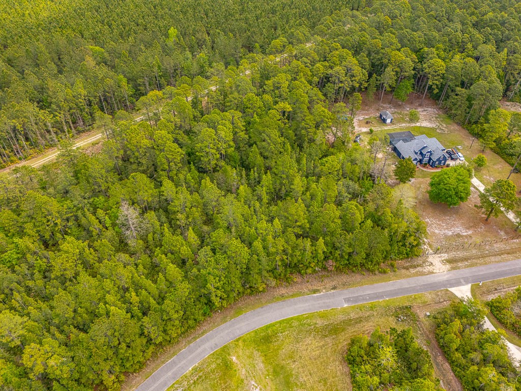 Lot 19 Serenity Farms Road Woodbine, GA 31569 - Photo 12 of 17