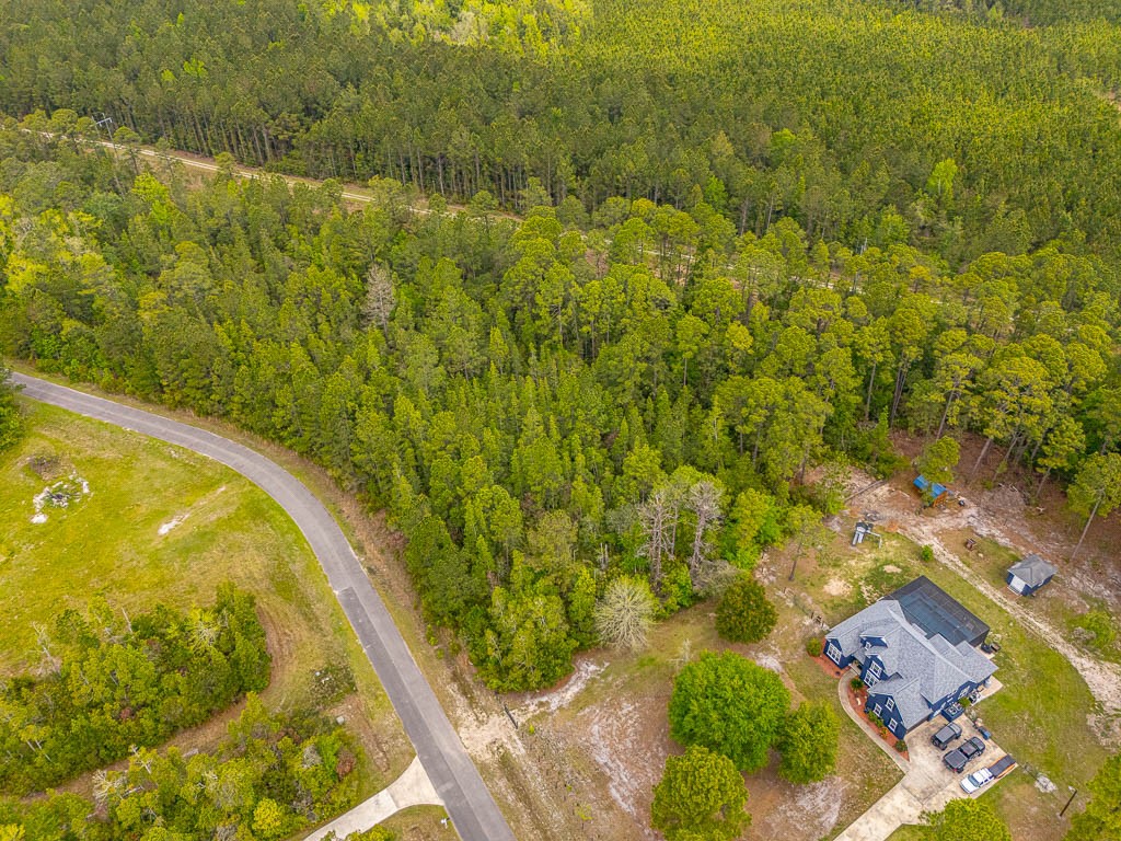 Lot 19 Serenity Farms Road Woodbine, GA 31569 - Photo 13 of 17