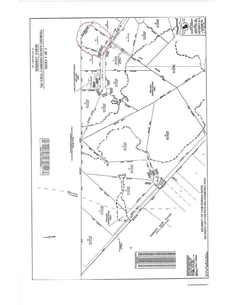 Lot 19 Serenity Farms Road Woodbine, GA 31569 - Photo 14 of 17