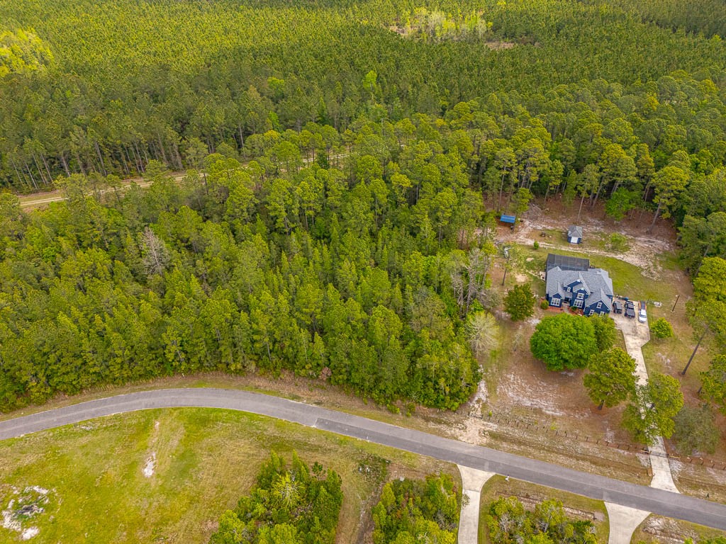 Lot 19 Serenity Farms Road Woodbine, GA 31569 - Photo 2 of 17