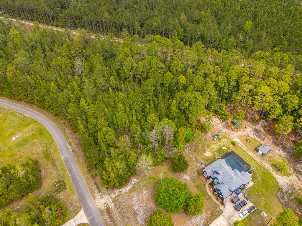 Lot 19 Serenity Farms Road Woodbine, GA 31569 - Photo 3 of 17
