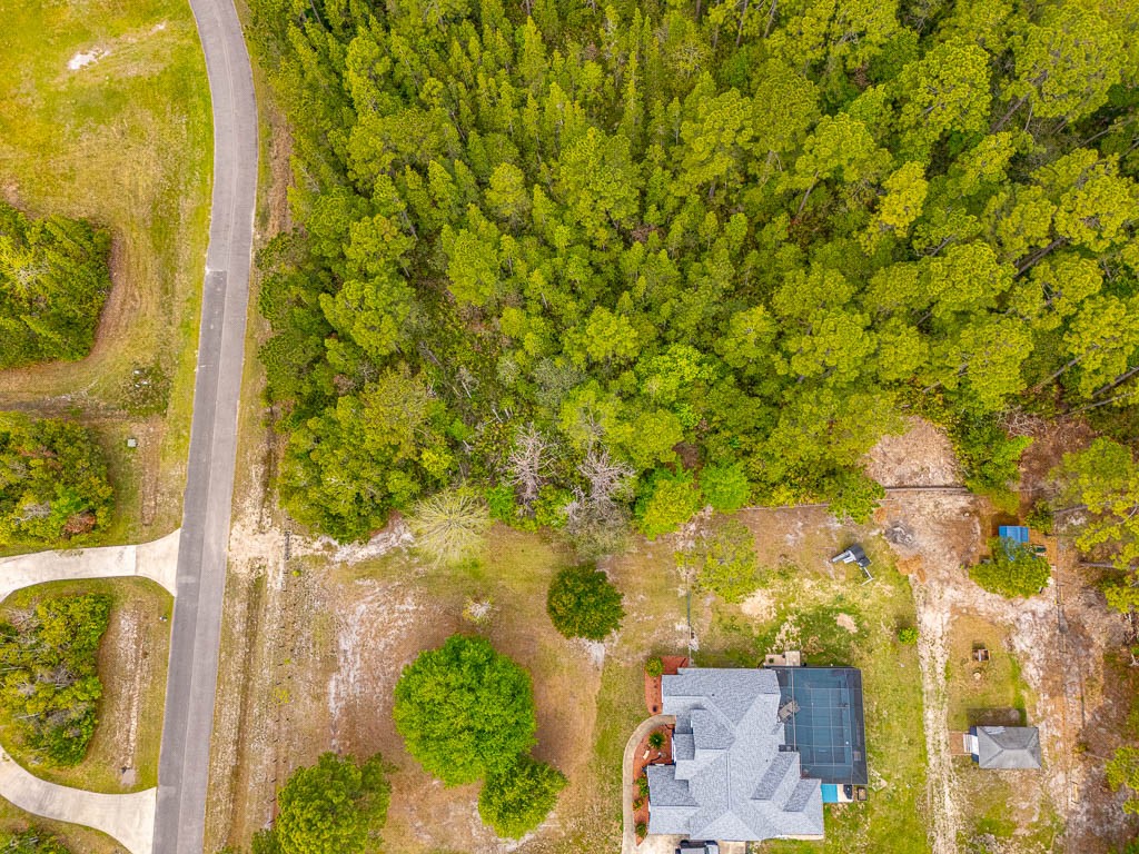 Lot 19 Serenity Farms Road Woodbine, GA 31569 - Photo 4 of 17