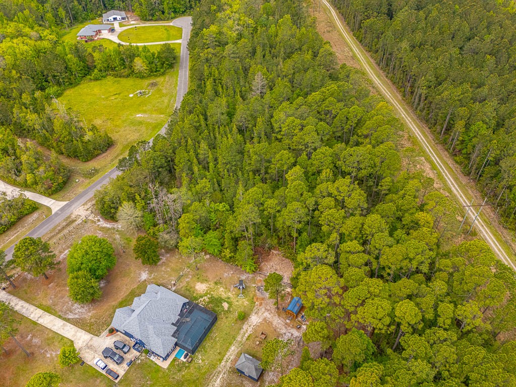 Lot 19 Serenity Farms Road Woodbine, GA 31569 - Photo 5 of 17