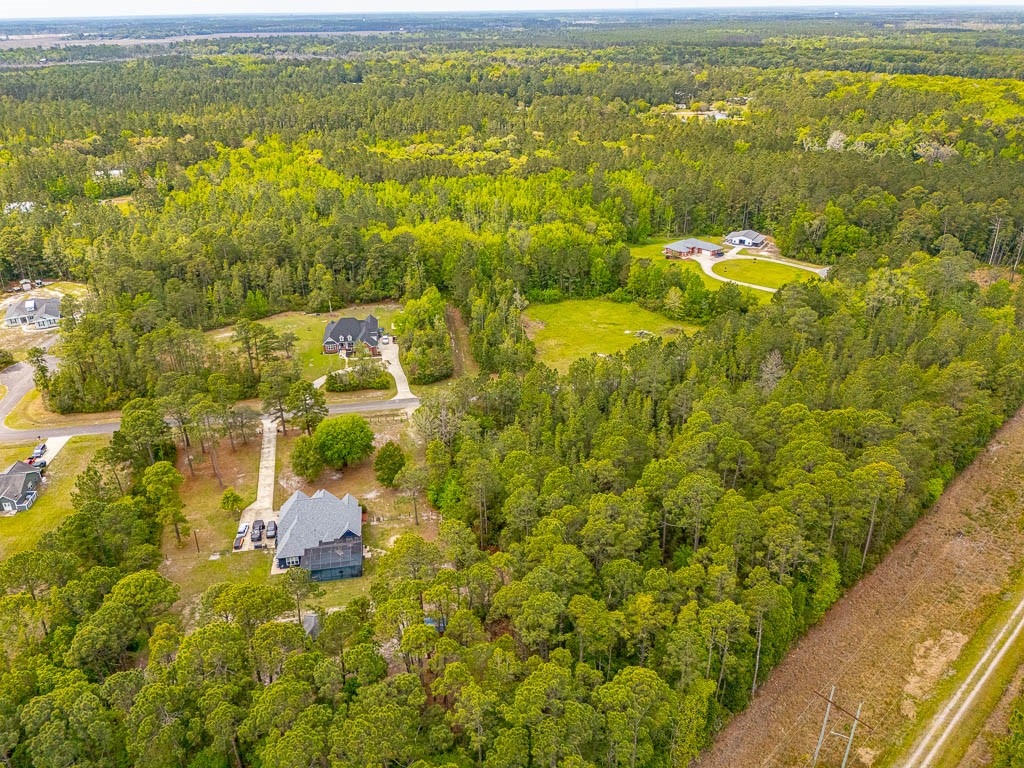 Lot 19 Serenity Farms Road Woodbine, GA 31569 - Photo 6 of 17