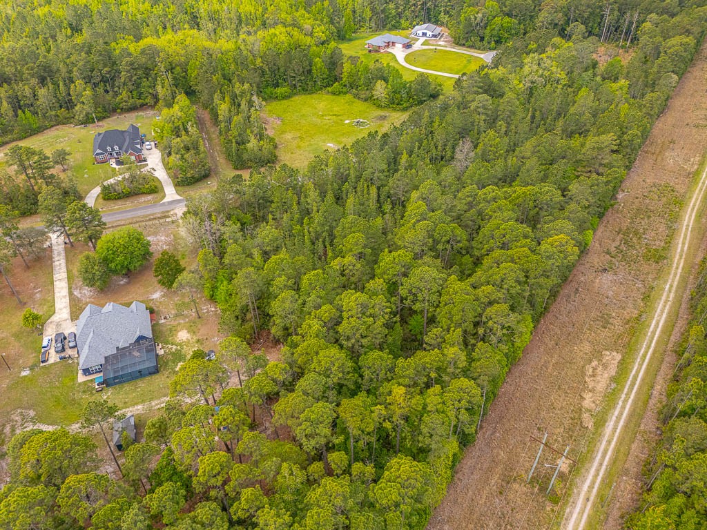 Lot 19 Serenity Farms Road Woodbine, GA 31569 - Photo 7 of 17
