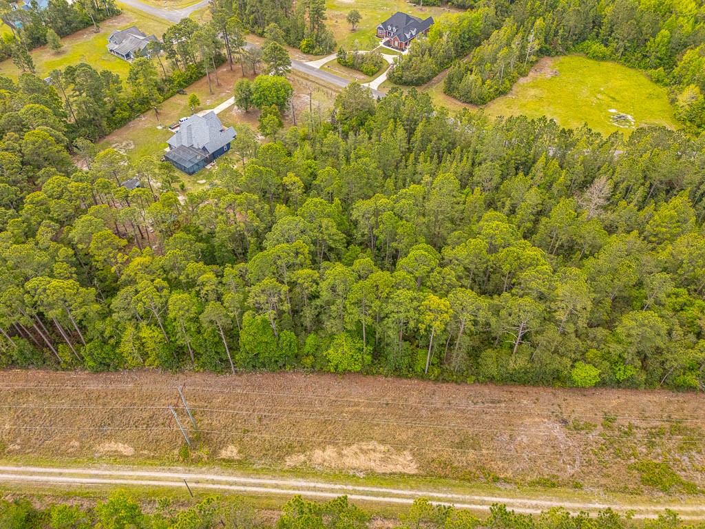 Lot 19 Serenity Farms Road Woodbine, GA 31569 - Photo 8 of 17