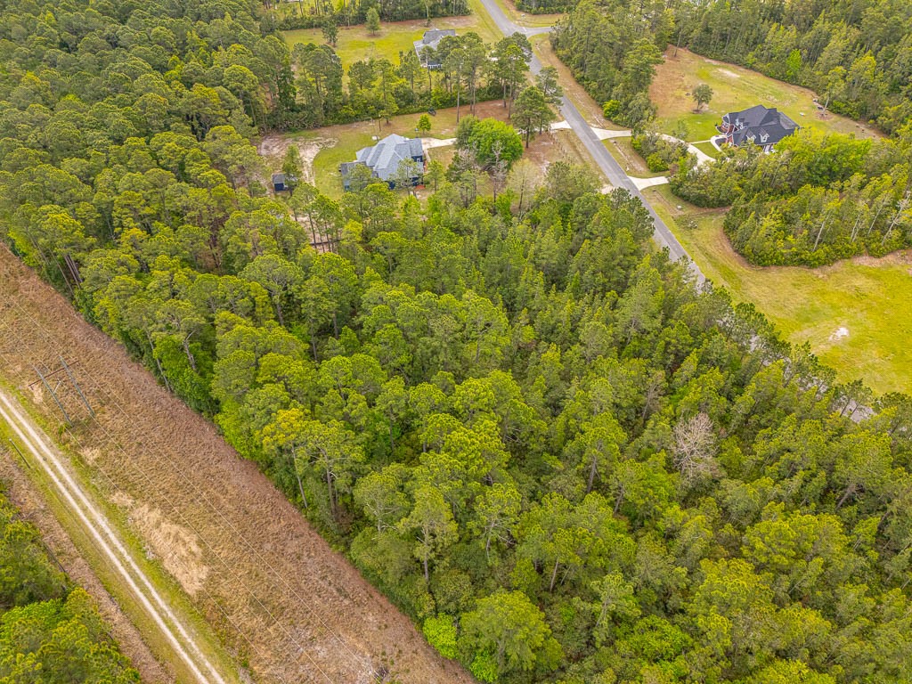 Lot 19 Serenity Farms Road Woodbine, GA 31569 - Photo 9 of 17