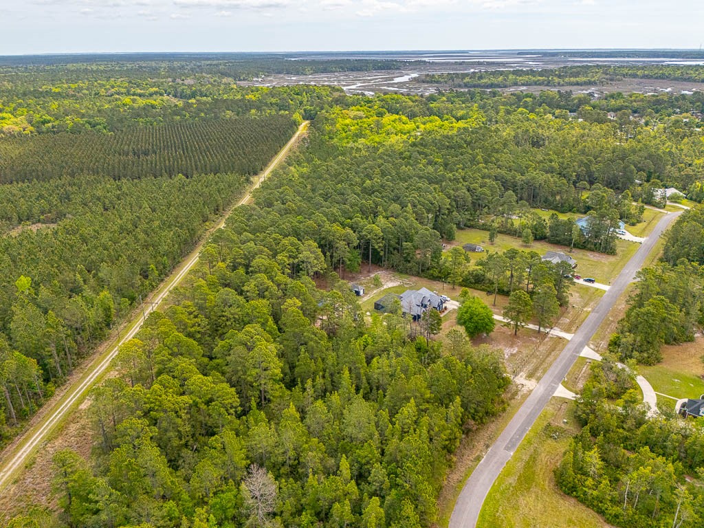Lot 19 Serenity Farms Road Woodbine, GA 31569 - Photo 10 of 17