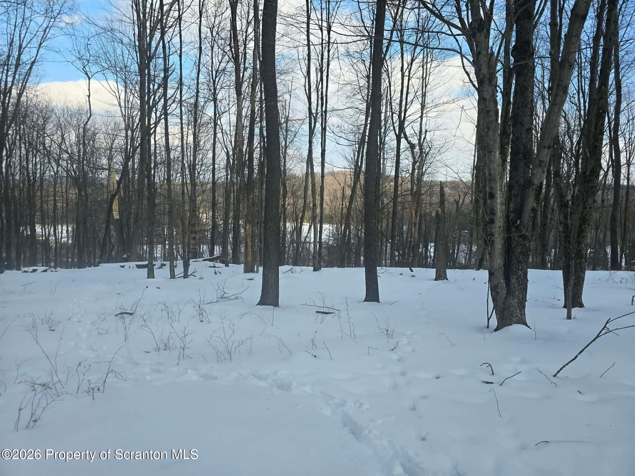 1013 Stearns Road New Milford, PA 18834 - Photo 13 of 15 a view of outdoor space with trees