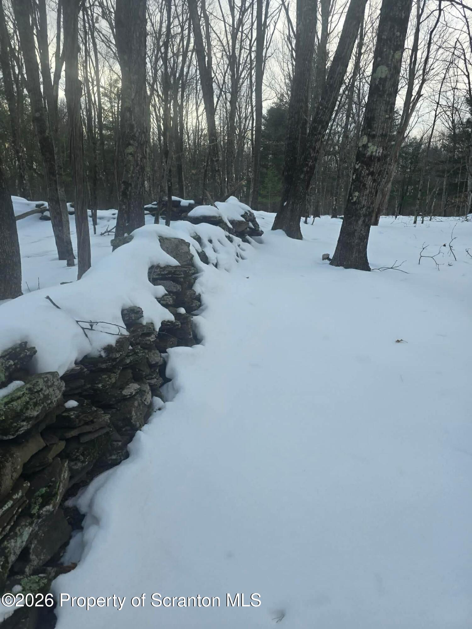 1013 Stearns Road New Milford, PA 18834 - Photo 3 of 15 a view of a backyard of snow