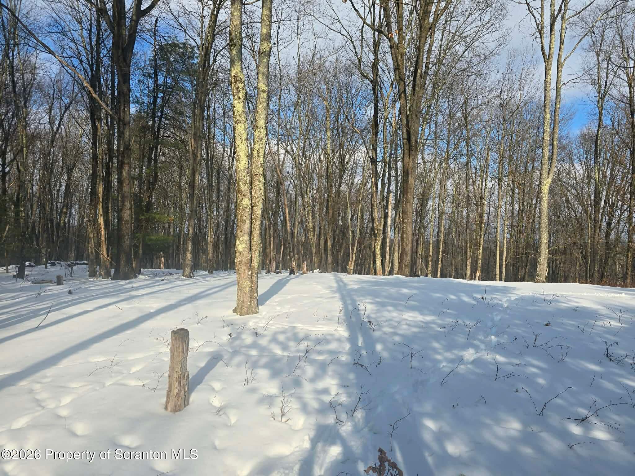 1013 Stearns Road New Milford, PA 18834 - Photo 5 of 15 a view of backyard space