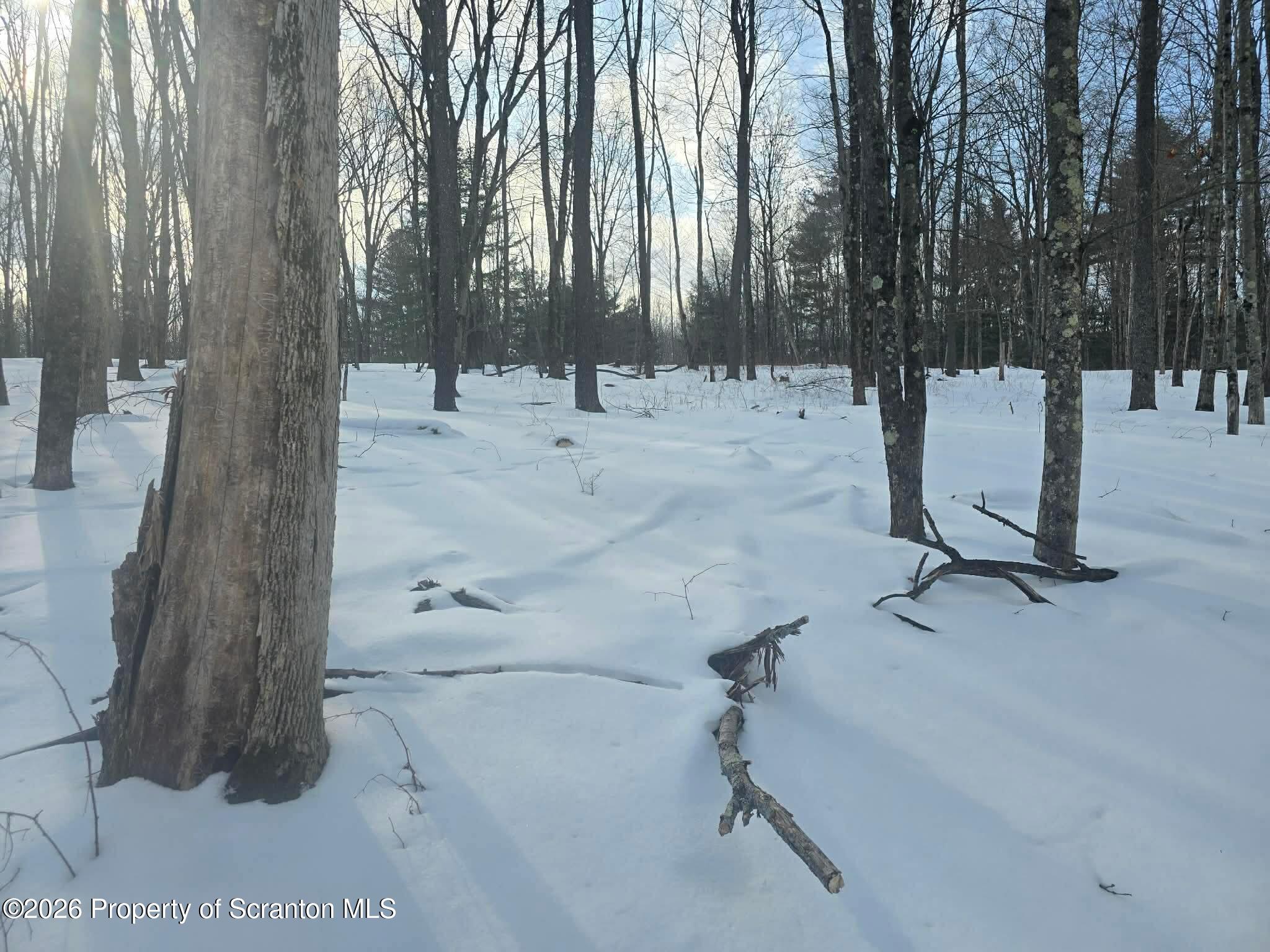 1013 Stearns Road New Milford, PA 18834 - Photo 6 of 15 a view of snow on the road