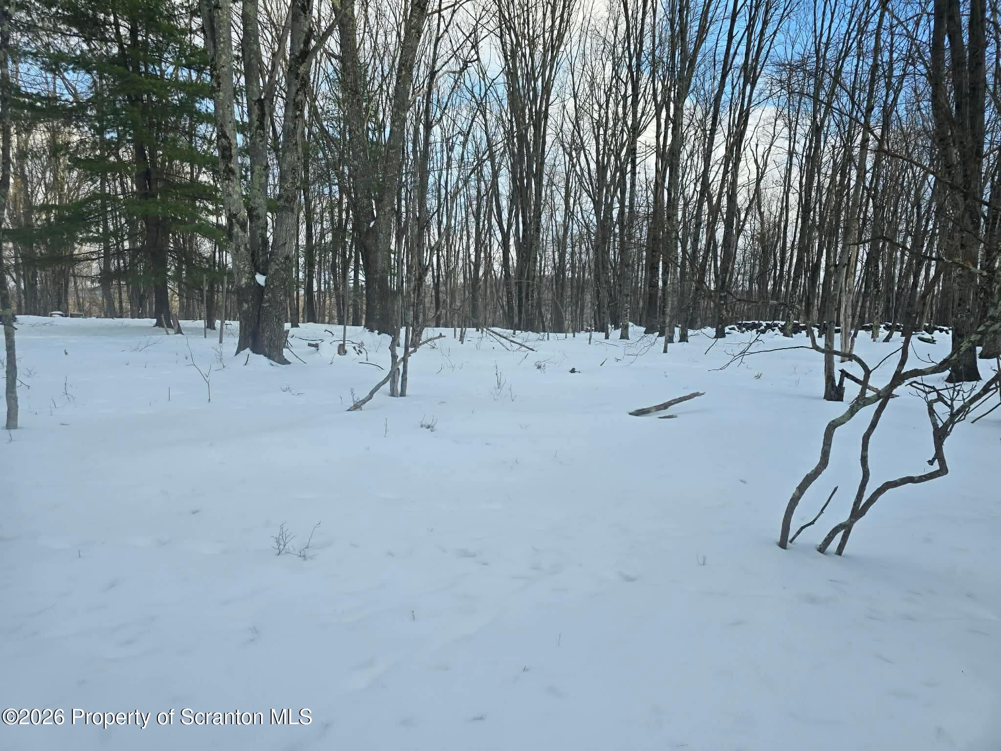 1013 Stearns Road New Milford, PA 18834 - Photo 8 of 15 a view of outdoor space with trees
