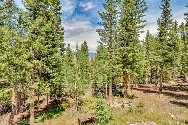 a green field with lots of plants