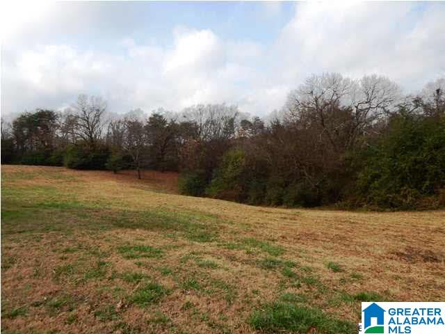 401 Beasley Road Gardendale, AL 35071 - Photo 4 of 15