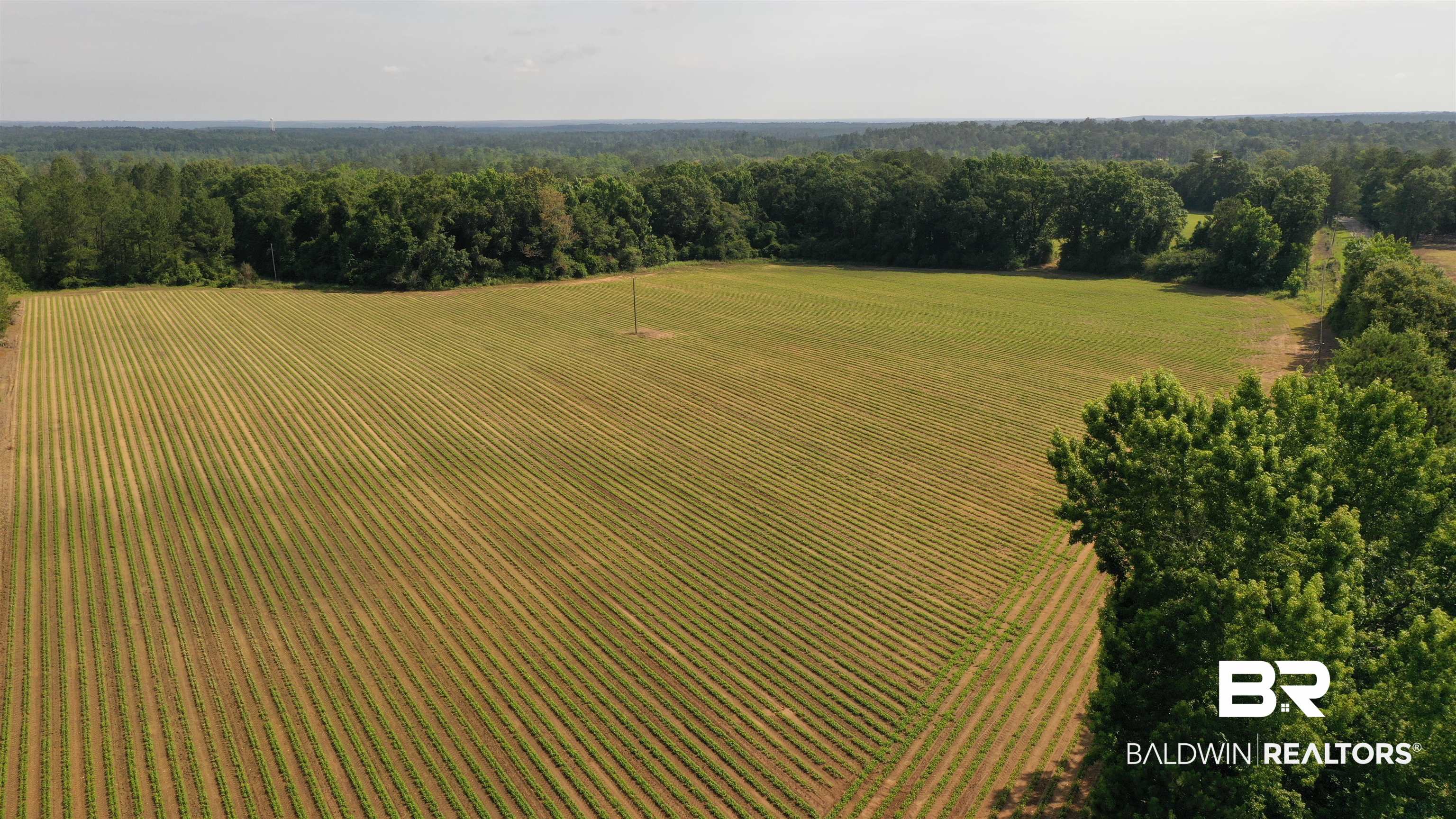 6 Travis Road Brewton, AL 36426 - Photo 17 of 22