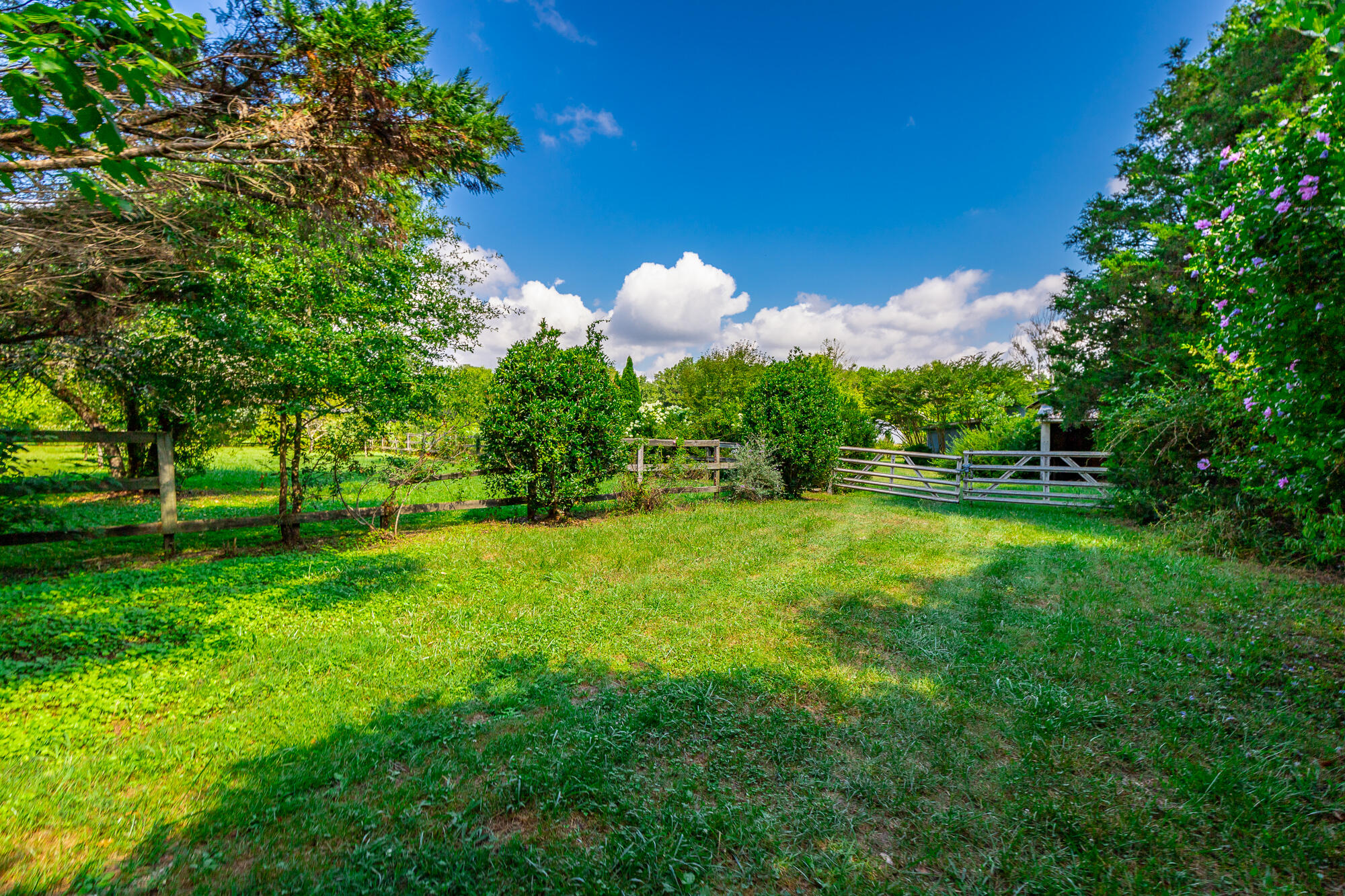 1581 Graysville Road HD-53