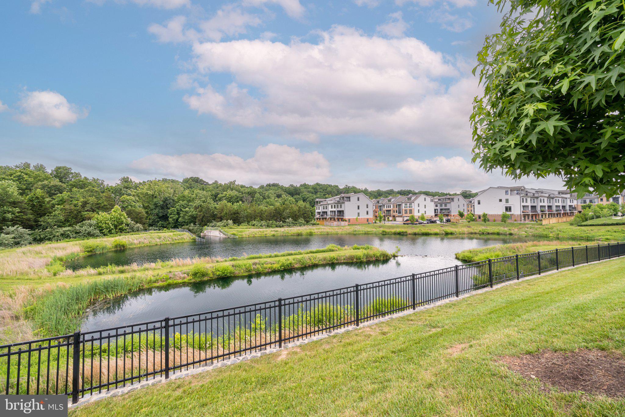 1521 Ribbon Limestone Terrace Southeast Leesburg, VA 20175 - Photo 34 of 34